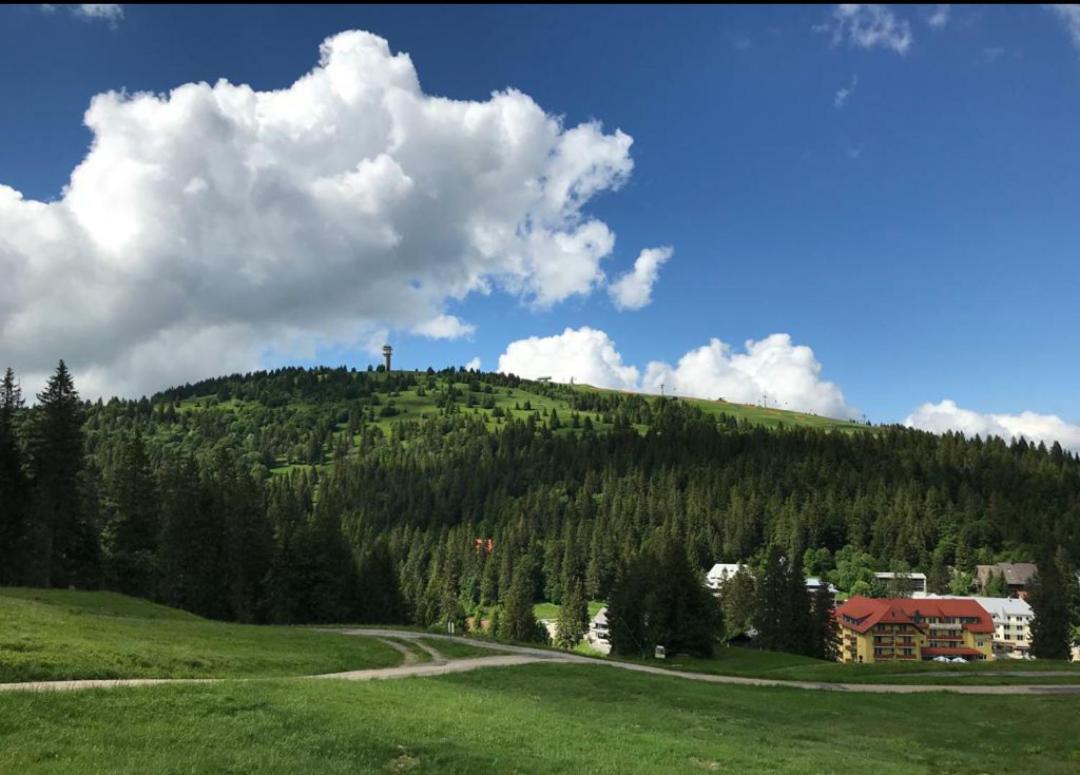 Ferienwohnung Feldberg Mit Whirlpool Direkt An Der Skipiste Feldberg (Baden-Wurttemberg) Exterior photo